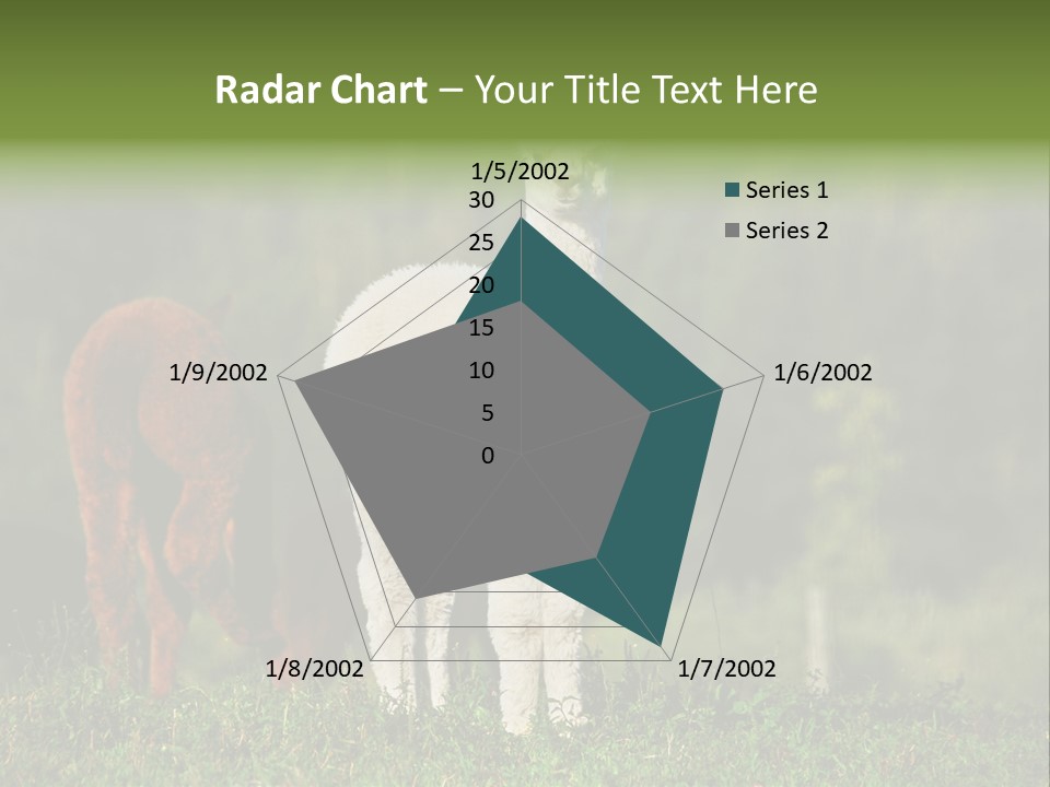 Peruvian Cub America PowerPoint Template