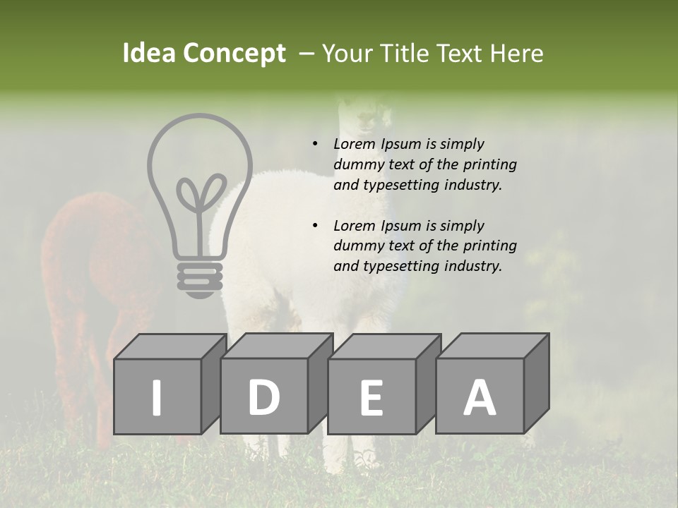 Peruvian Cub America PowerPoint Template