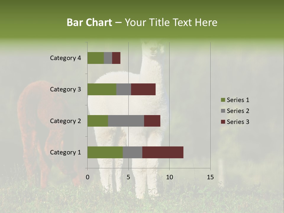 Peruvian Cub America PowerPoint Template