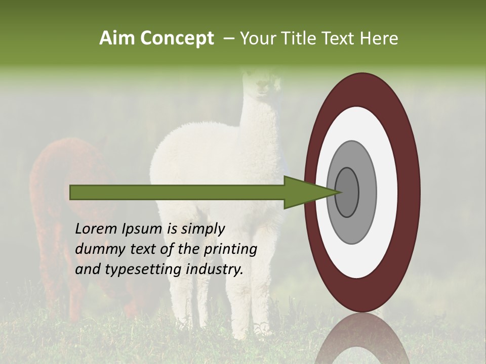 Peruvian Cub America PowerPoint Template