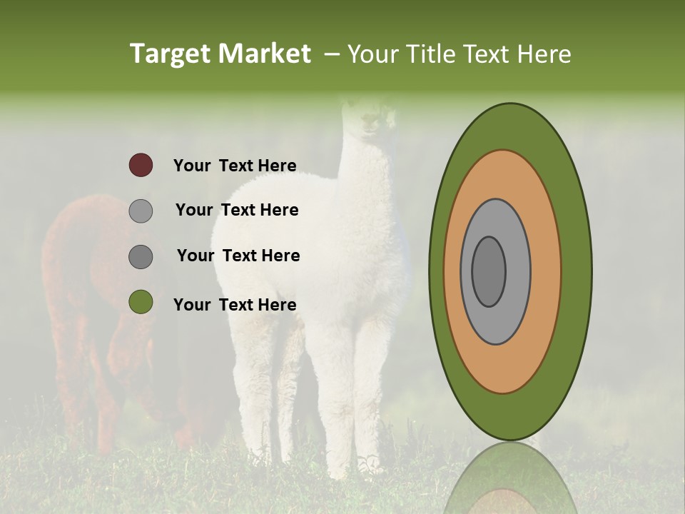 Peruvian Cub America PowerPoint Template