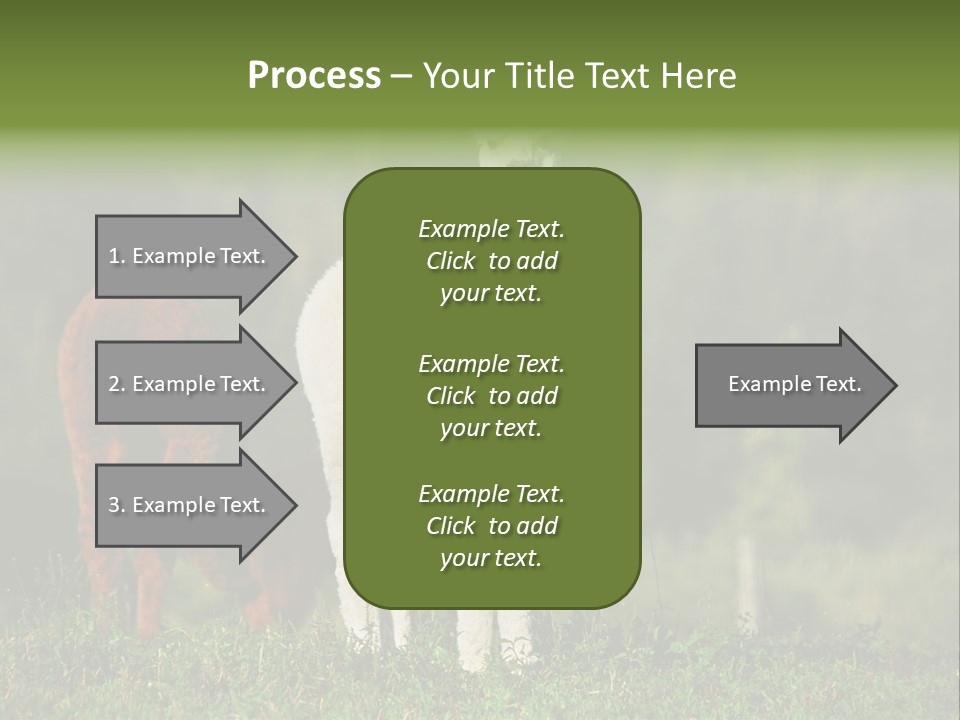 Peruvian Cub America PowerPoint Template