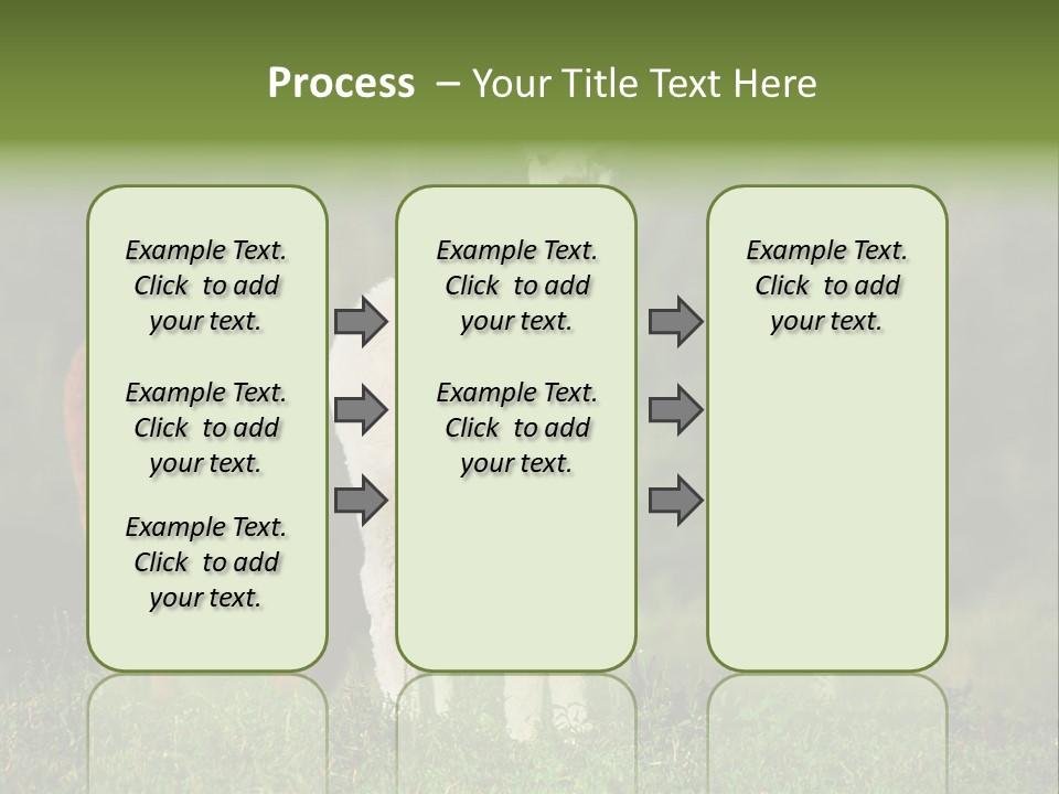 Peruvian Cub America PowerPoint Template