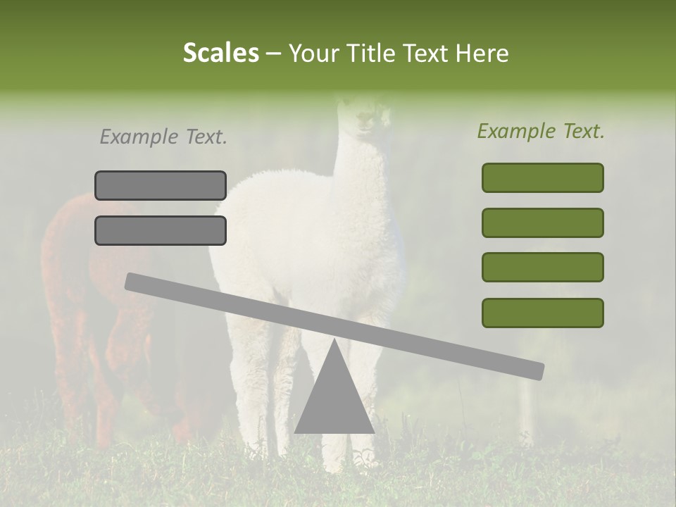 Peruvian Cub America PowerPoint Template