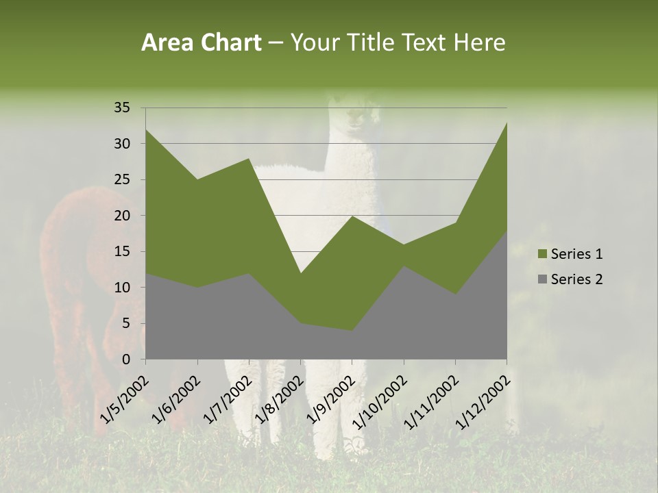 Peruvian Cub America PowerPoint Template