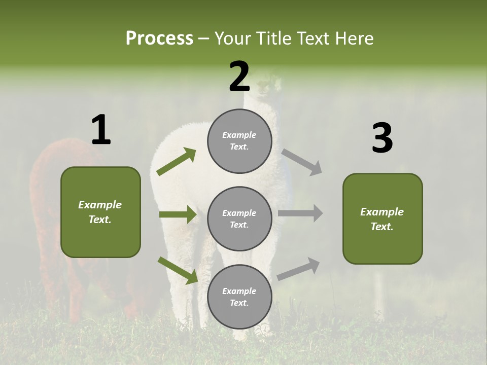 Peruvian Cub America PowerPoint Template