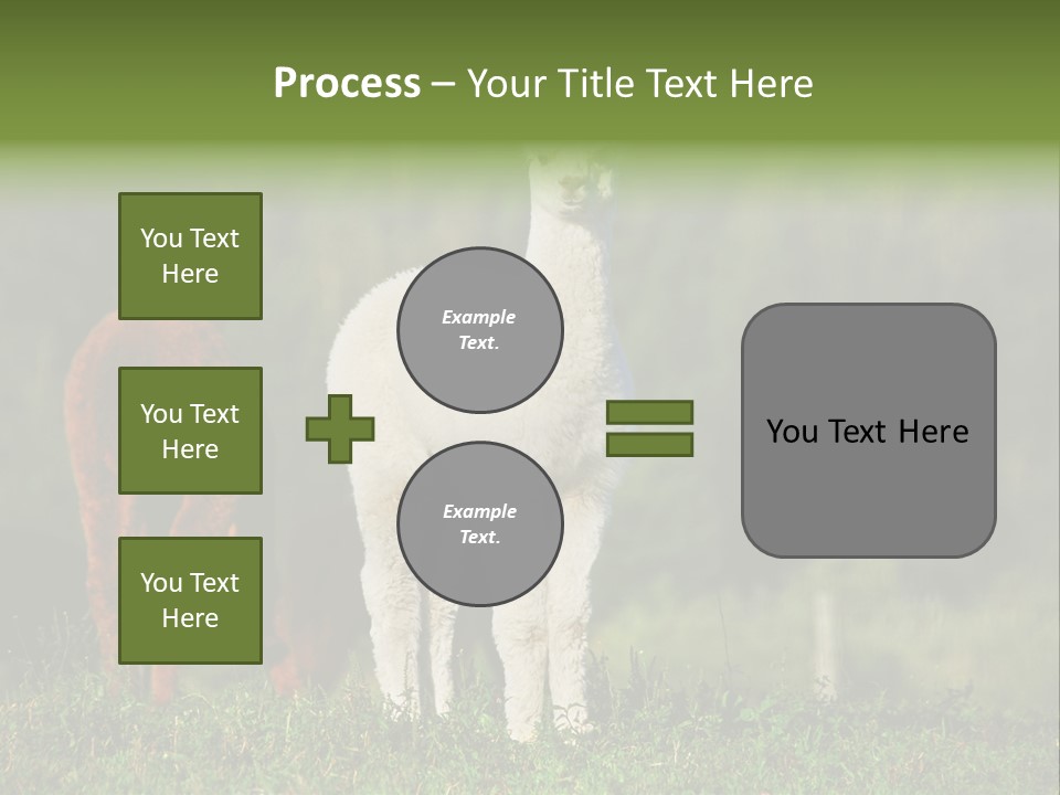 Peruvian Cub America PowerPoint Template