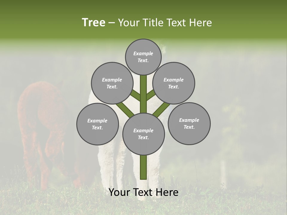 Peruvian Cub America PowerPoint Template