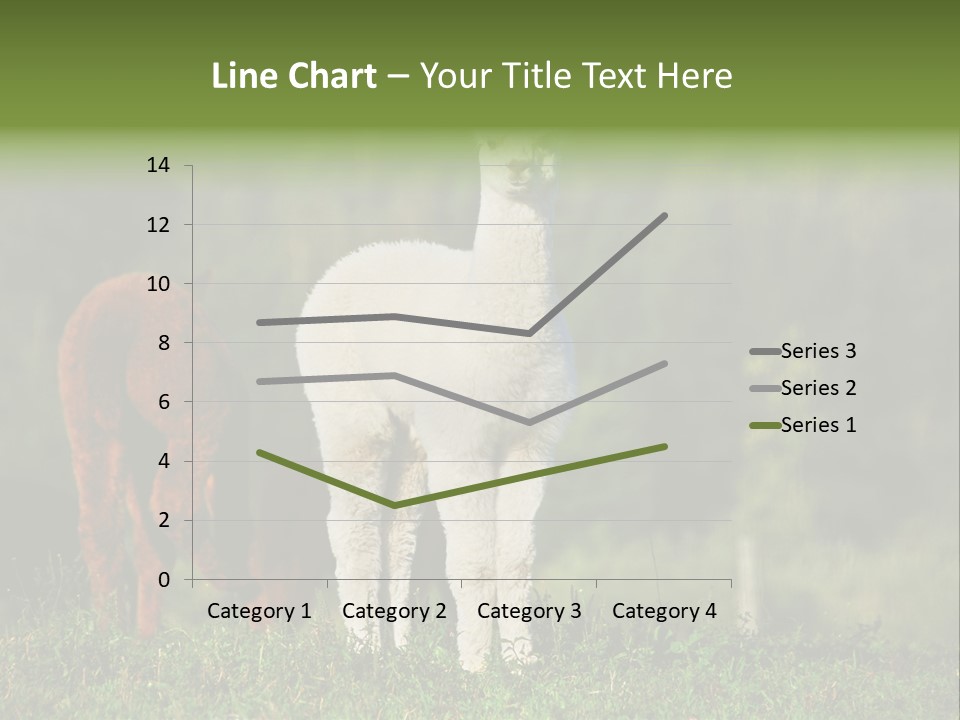 Peruvian Cub America PowerPoint Template