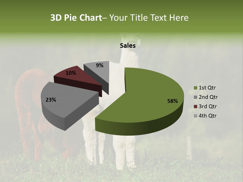 Peruvian Cub America PowerPoint Template