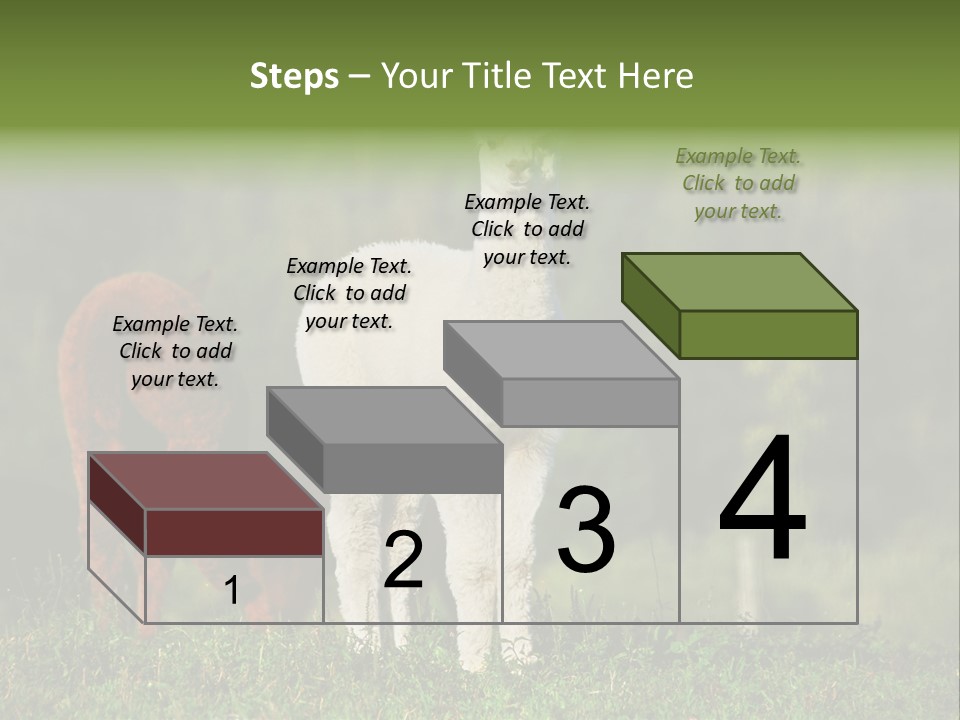 Peruvian Cub America PowerPoint Template