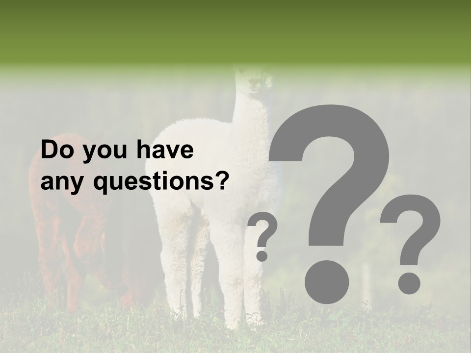 Peruvian Cub America PowerPoint Template