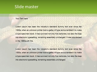 Harvesting Bream Production PowerPoint Template