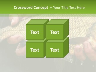 Harvesting Bream Production PowerPoint Template