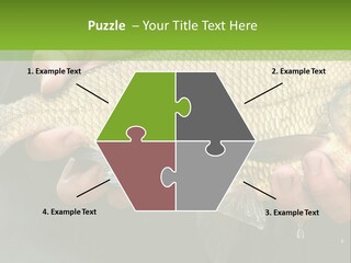 Harvesting Bream Production PowerPoint Template