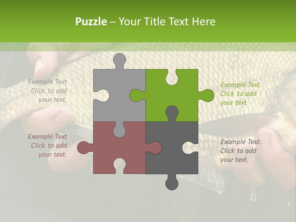 Harvesting Bream Production PowerPoint Template