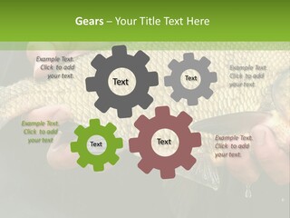 Harvesting Bream Production PowerPoint Template