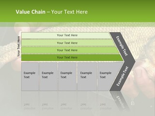 Harvesting Bream Production PowerPoint Template