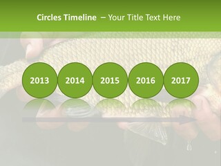 Harvesting Bream Production PowerPoint Template