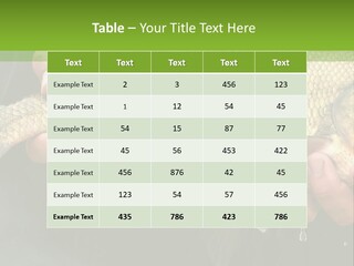 Harvesting Bream Production PowerPoint Template