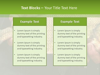 Harvesting Bream Production PowerPoint Template