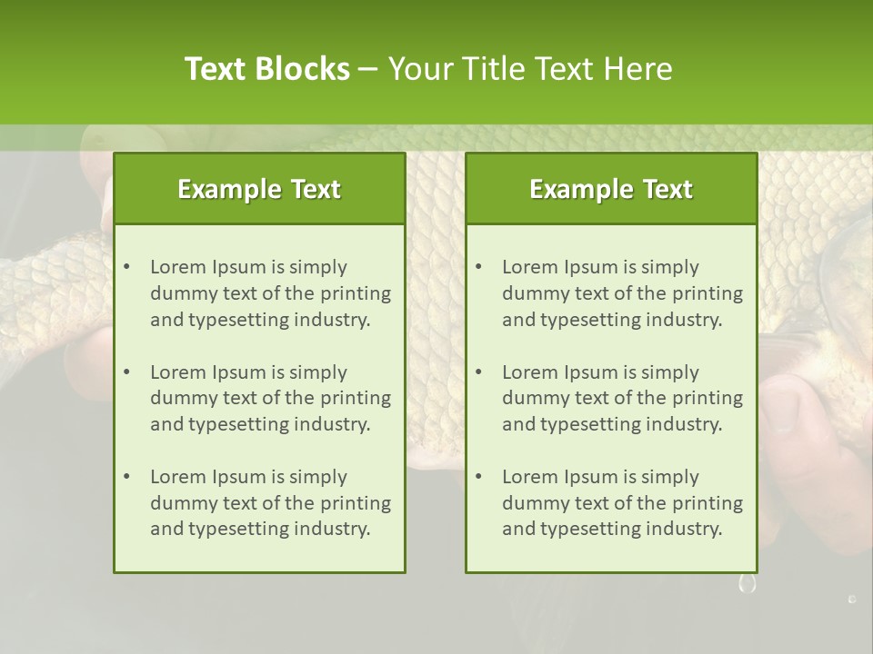 Harvesting Bream Production PowerPoint Template