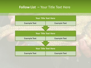 Harvesting Bream Production PowerPoint Template
