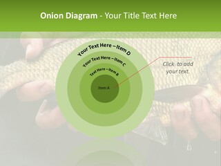 Harvesting Bream Production PowerPoint Template