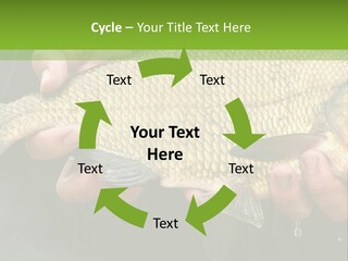 Harvesting Bream Production PowerPoint Template