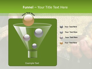 Harvesting Bream Production PowerPoint Template