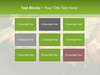 Harvesting Bream Production PowerPoint Template