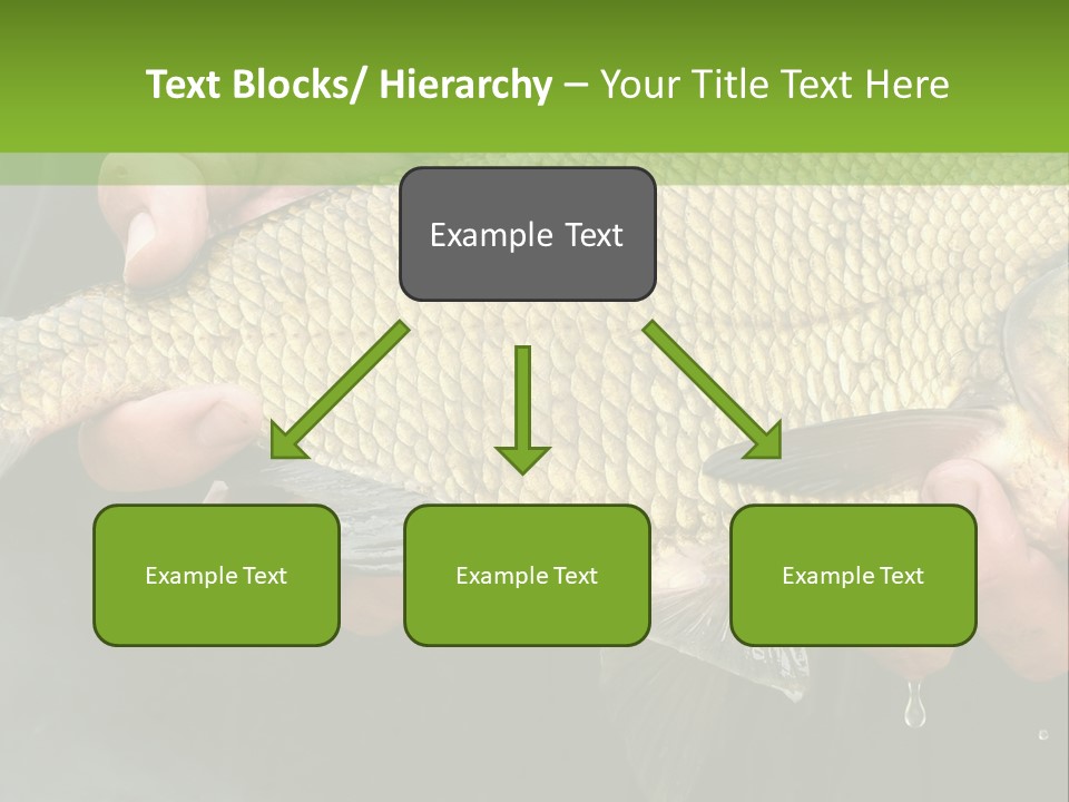 Harvesting Bream Production PowerPoint Template