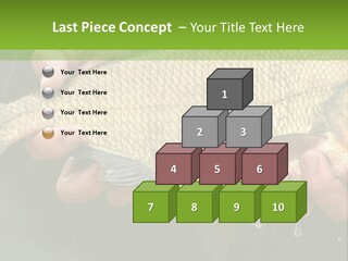 Harvesting Bream Production PowerPoint Template