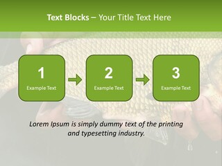 Harvesting Bream Production PowerPoint Template