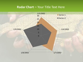 Harvesting Bream Production PowerPoint Template