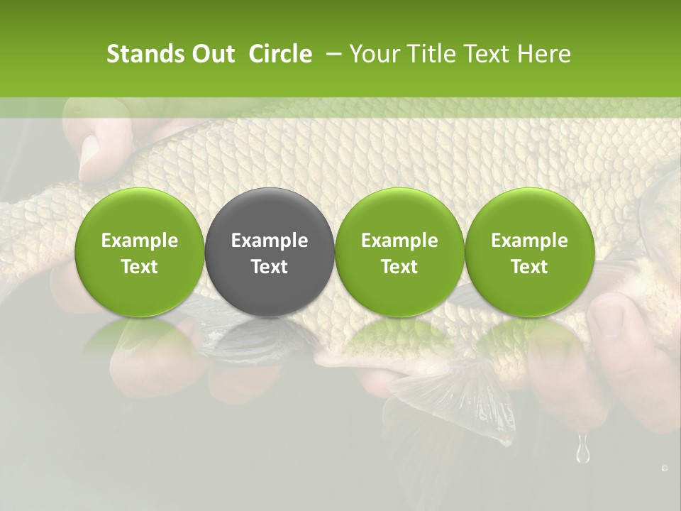 Harvesting Bream Production PowerPoint Template