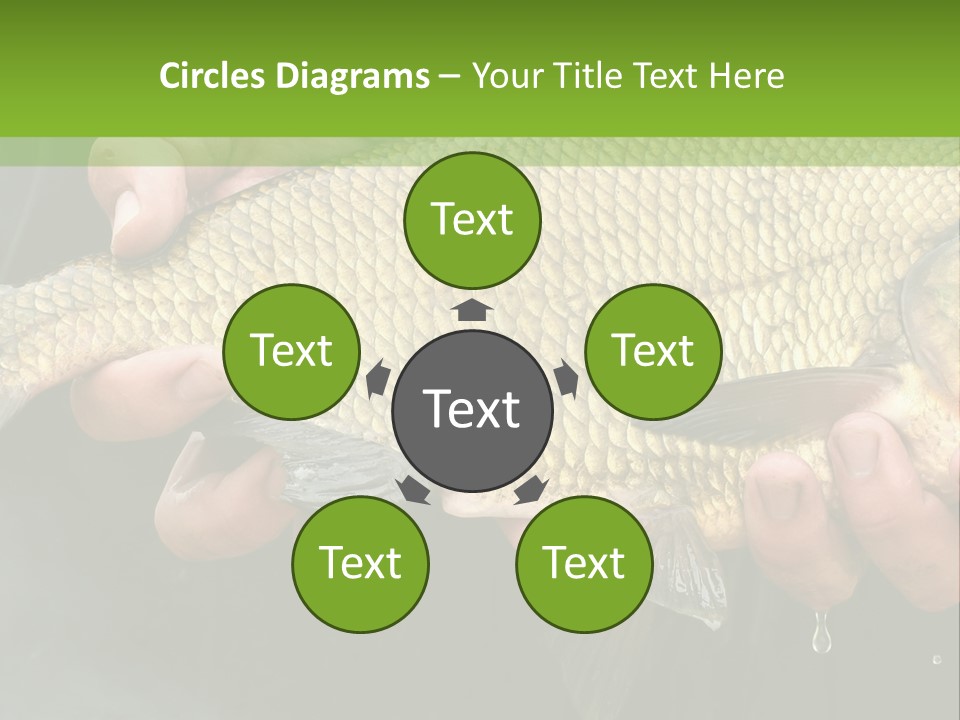 Harvesting Bream Production PowerPoint Template