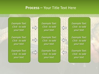 Harvesting Bream Production PowerPoint Template