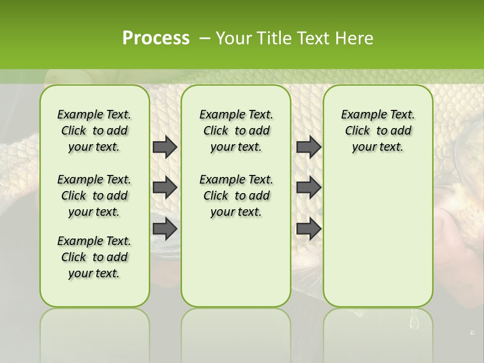 Harvesting Bream Production PowerPoint Template