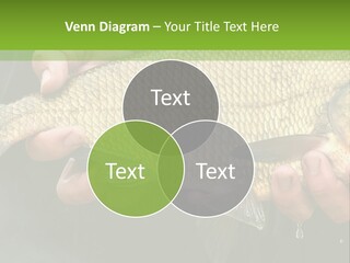 Harvesting Bream Production PowerPoint Template