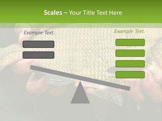 Harvesting Bream Production PowerPoint Template