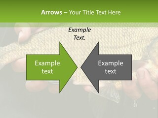 Harvesting Bream Production PowerPoint Template