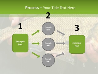 Harvesting Bream Production PowerPoint Template