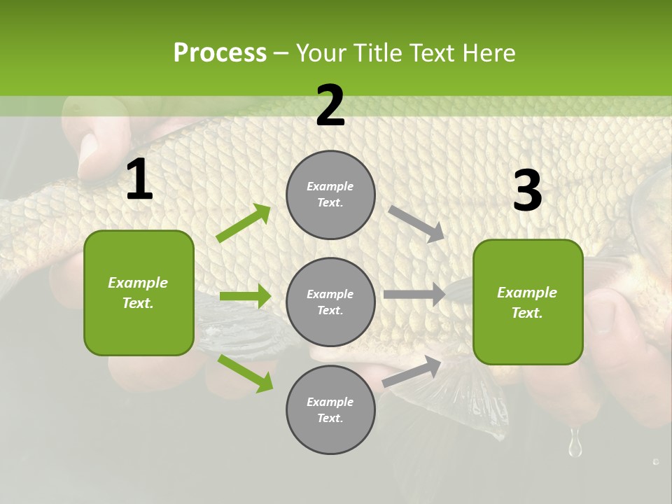Harvesting Bream Production PowerPoint Template