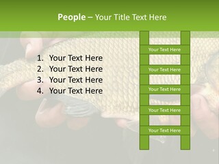 Harvesting Bream Production PowerPoint Template