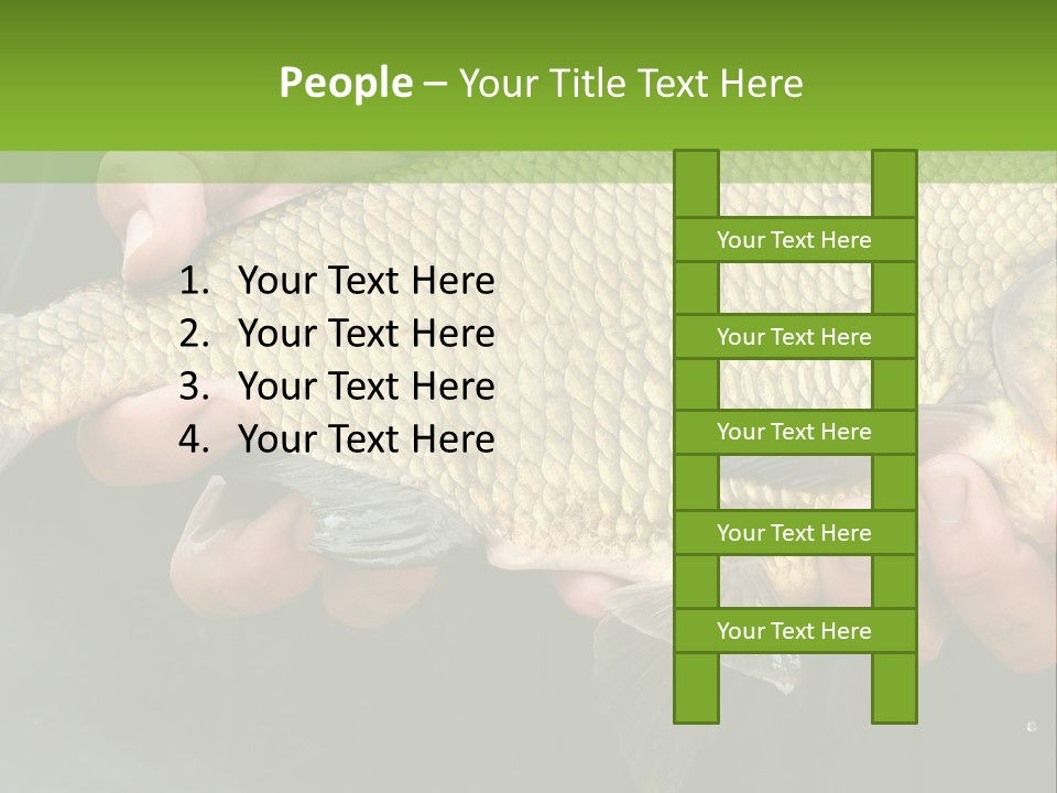 Harvesting Bream Production PowerPoint Template