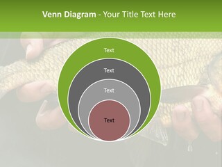Harvesting Bream Production PowerPoint Template