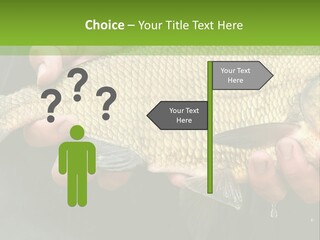 Harvesting Bream Production PowerPoint Template