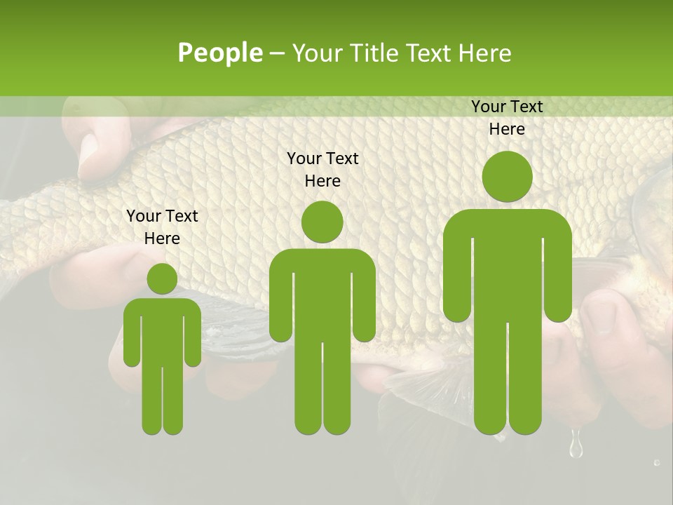 Harvesting Bream Production PowerPoint Template