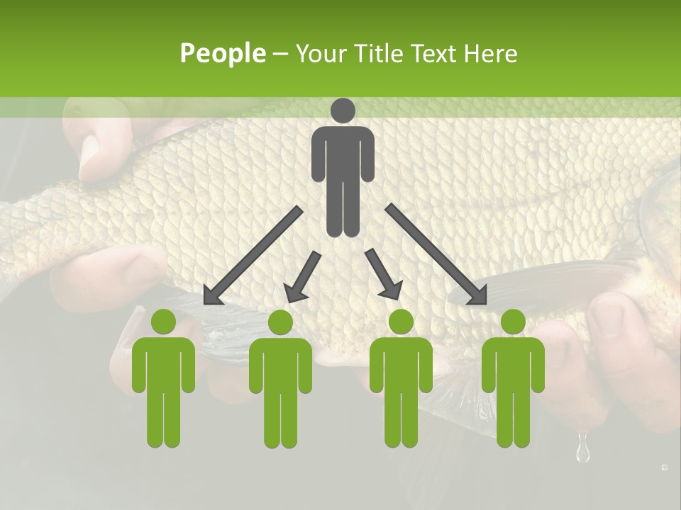 Harvesting Bream Production PowerPoint Template